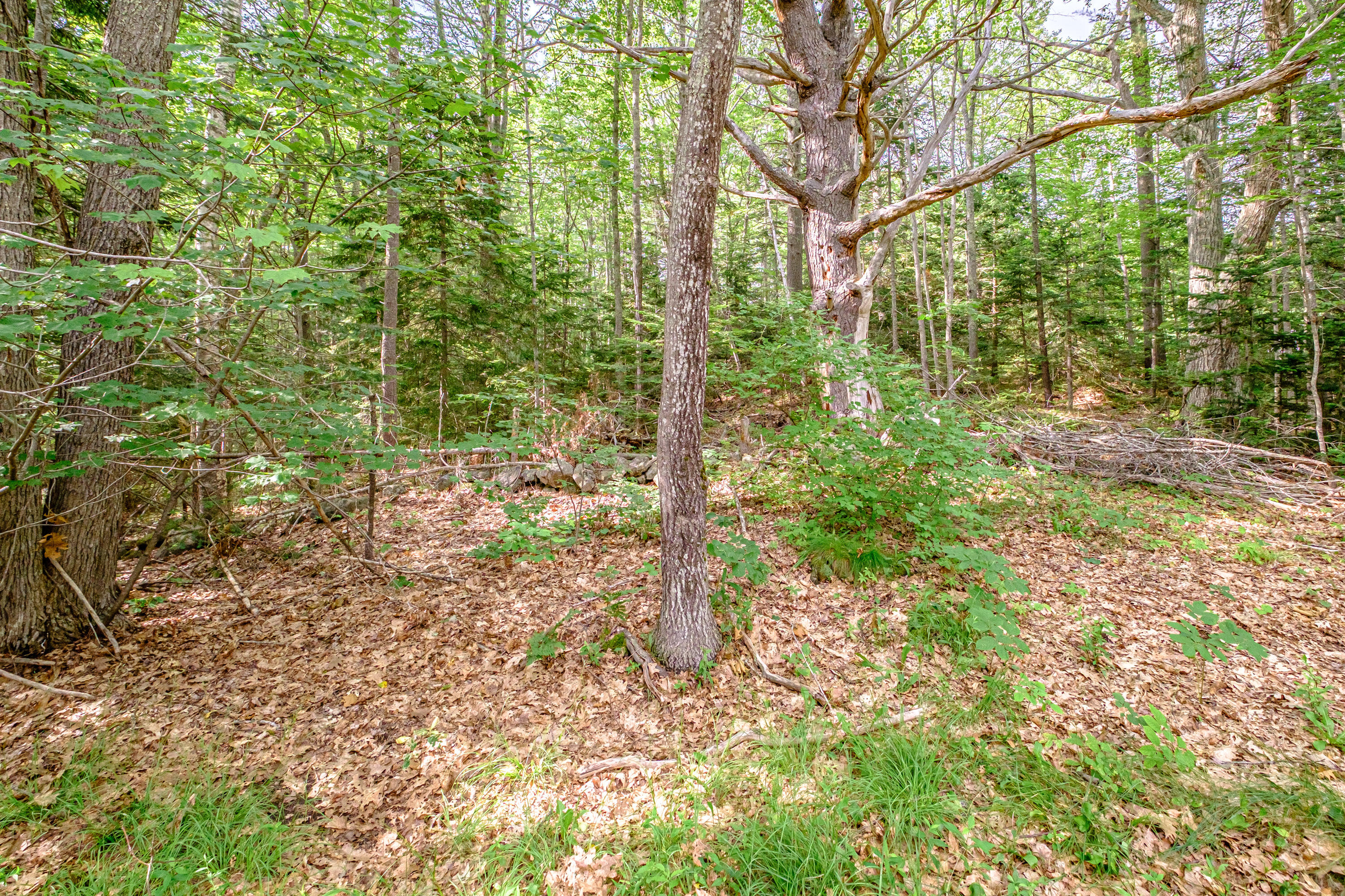 143 Berrys Mill Road West Bath, ME 04530 - Photo 12 of 57 20250702gp-64012