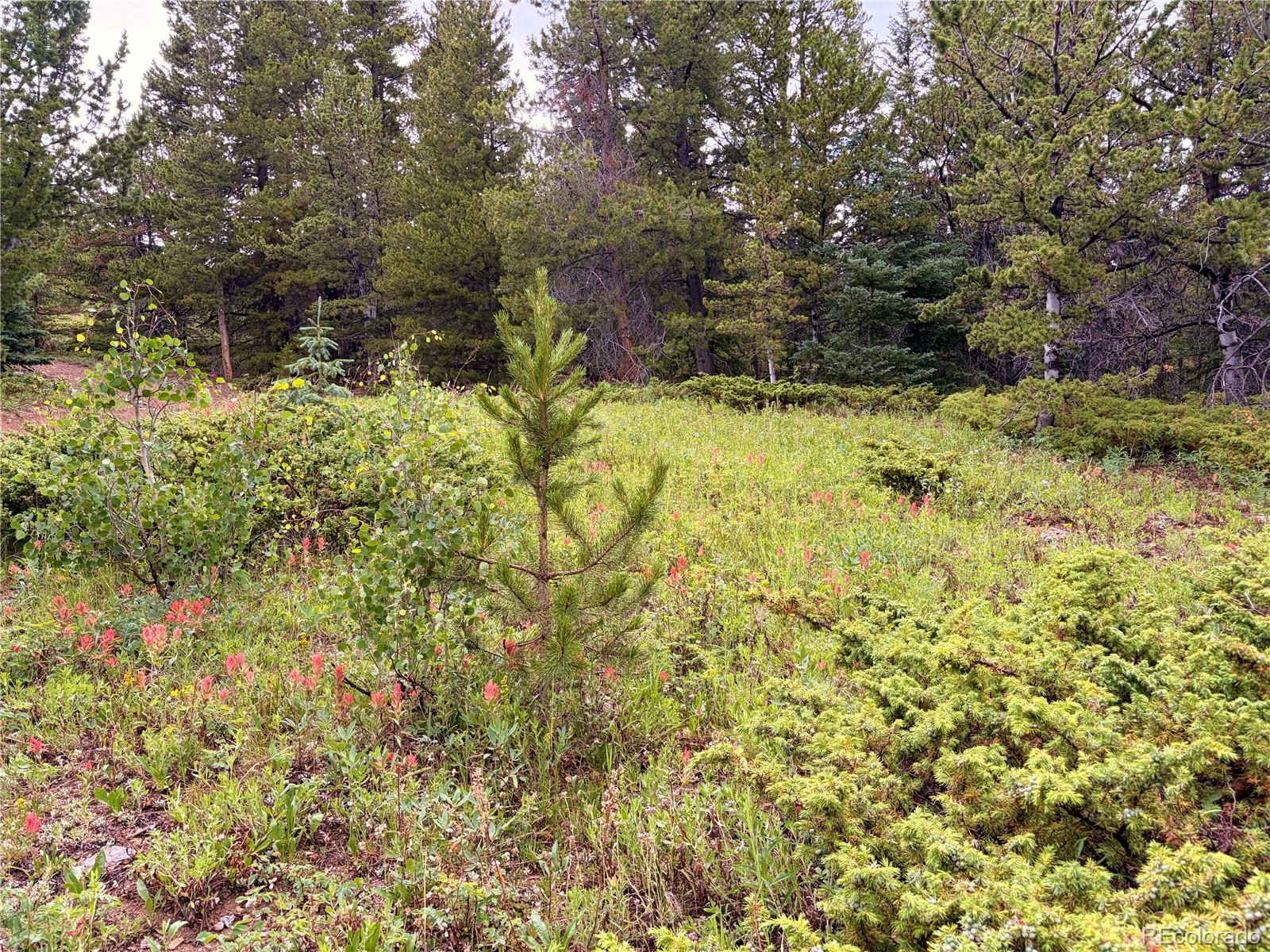 1 Apex Black Hawk, CO 80422 - Photo 28 of 38