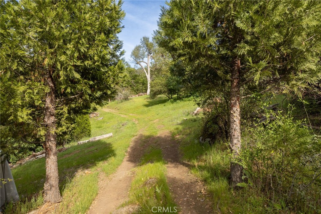 36919 Deer Path Circle Coarsegold, CA 93614 - Photo 65 of 69