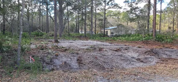 $14,600 | 107 Pine Avenue, Georgetown, FL 32139