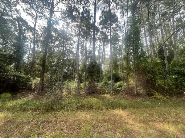 $14,600 | 107 Pine Avenue, Georgetown, FL 32139