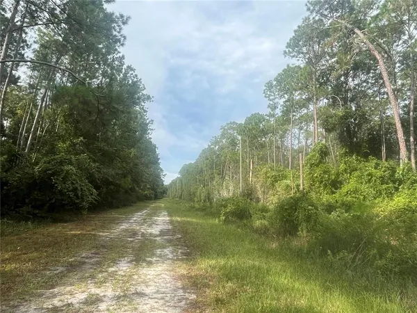 $14,600 | 107 Pine Avenue, Georgetown, FL 32139
