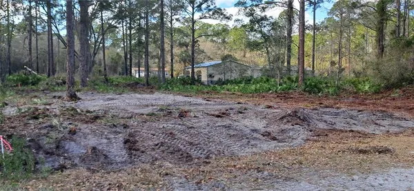 $14,600 | 107 Pine Avenue, Georgetown, FL 32139