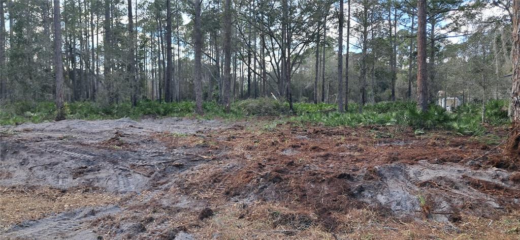 107 Pine Avenue Georgetown, FL 32139 - Photo 7 of 8