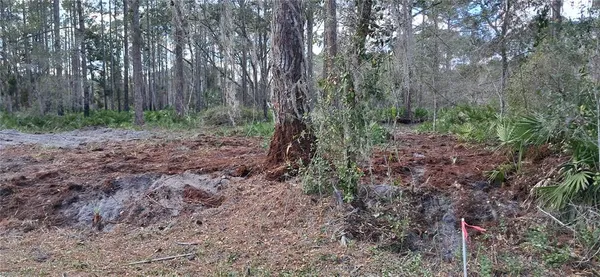 $14,600 | 107 Pine Avenue, Georgetown, FL 32139