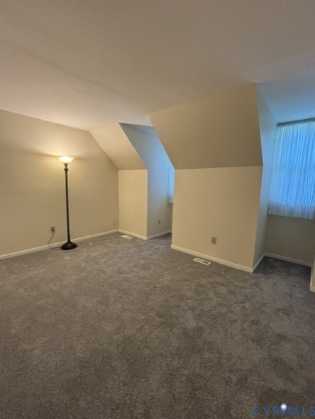 14604 Mill Spring Drive Midlothian, VA 23112 - Photo 19 of 28