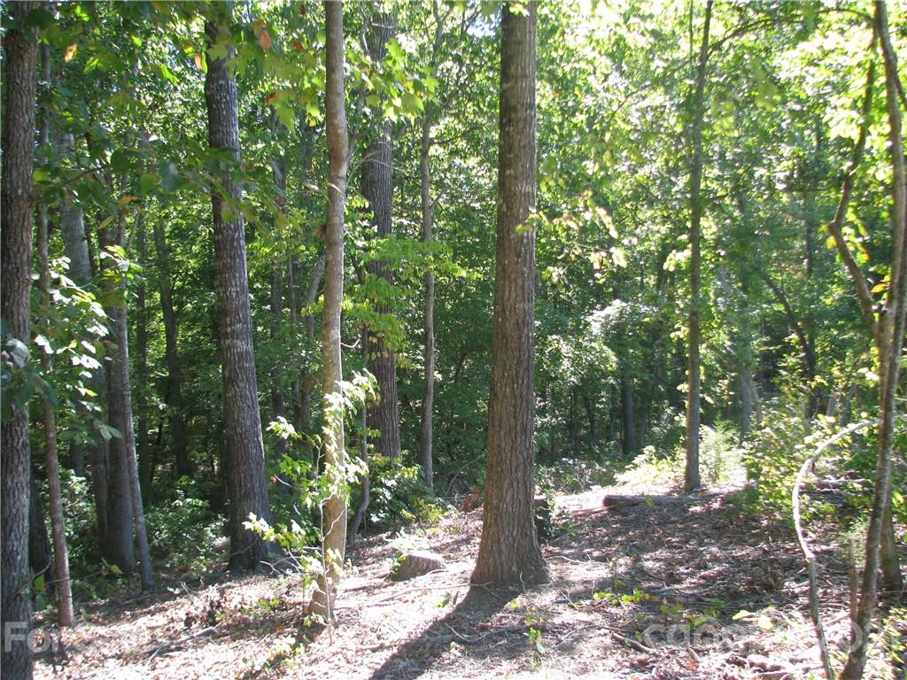 254 North Shiloh Road York, SC 29745 - Photo 3 of 39 Gallery Image 3