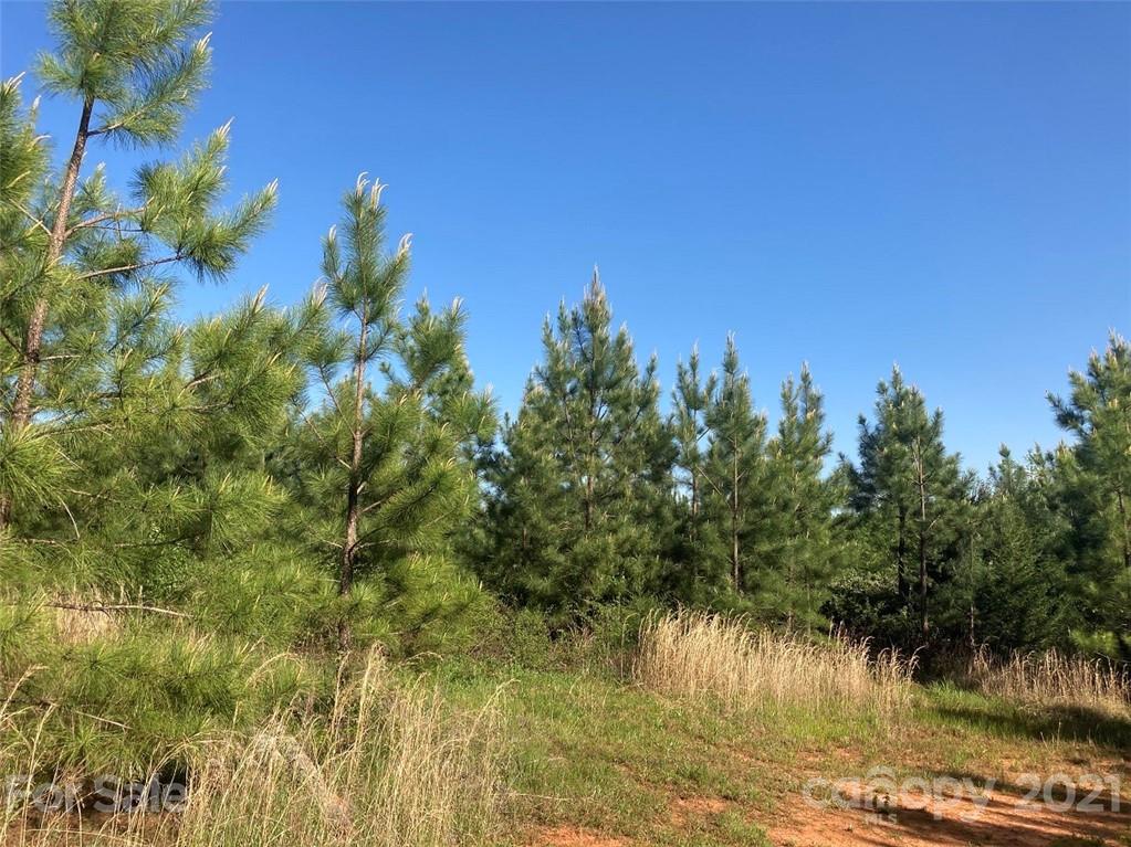 254 North Shiloh Road York, SC 29745 - Photo 6 of 39 Gallery Image 6