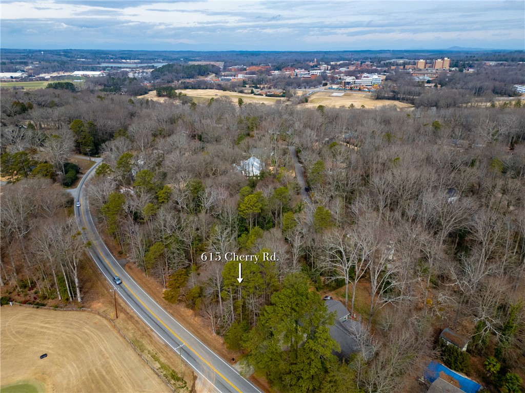 615 Cherry Road Clemson, SC 29631 - Photo 27 of 30