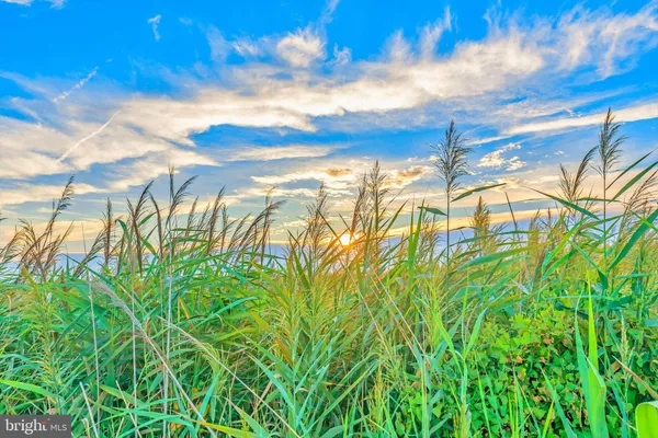 $539,000 | 220 Fox Street, Milton, DE 19968