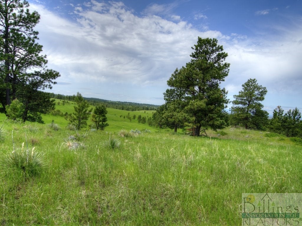 302 Bender Road Roundup, MT 59072 - Photo 1 of 1 Gallery Image 1
