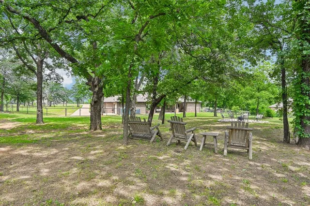 a view of a park with large trees