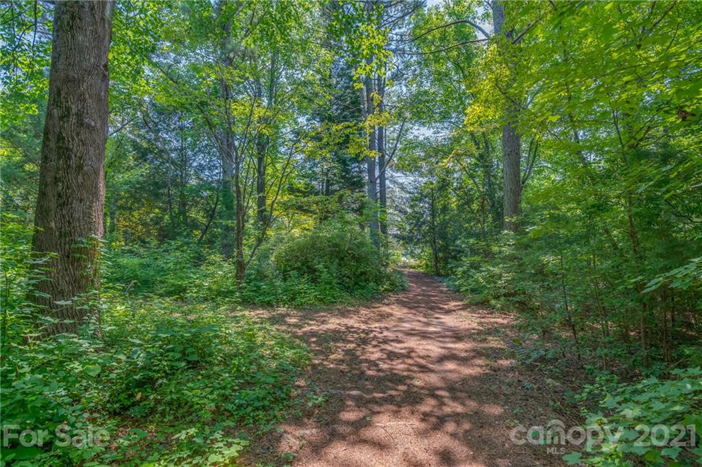 2000 Smith Dairy Road Columbus, NC 28722 - Photo 38 of 48 Gallery Image 38