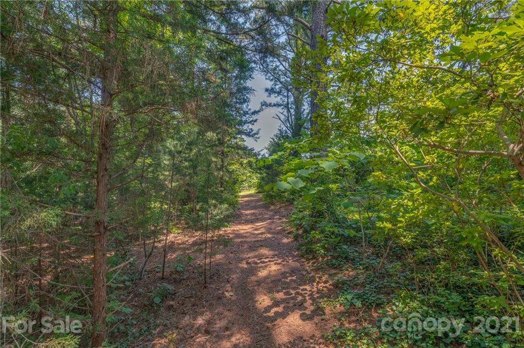 2000 Smith Dairy Road Columbus, NC 28722 - Photo 40 of 48 Gallery Image 40