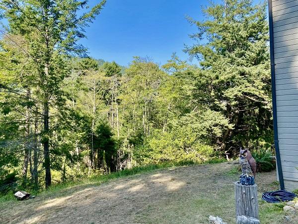 185 Humboldt Loop Whitethorn, CA 95589 - Photo 20 of 21