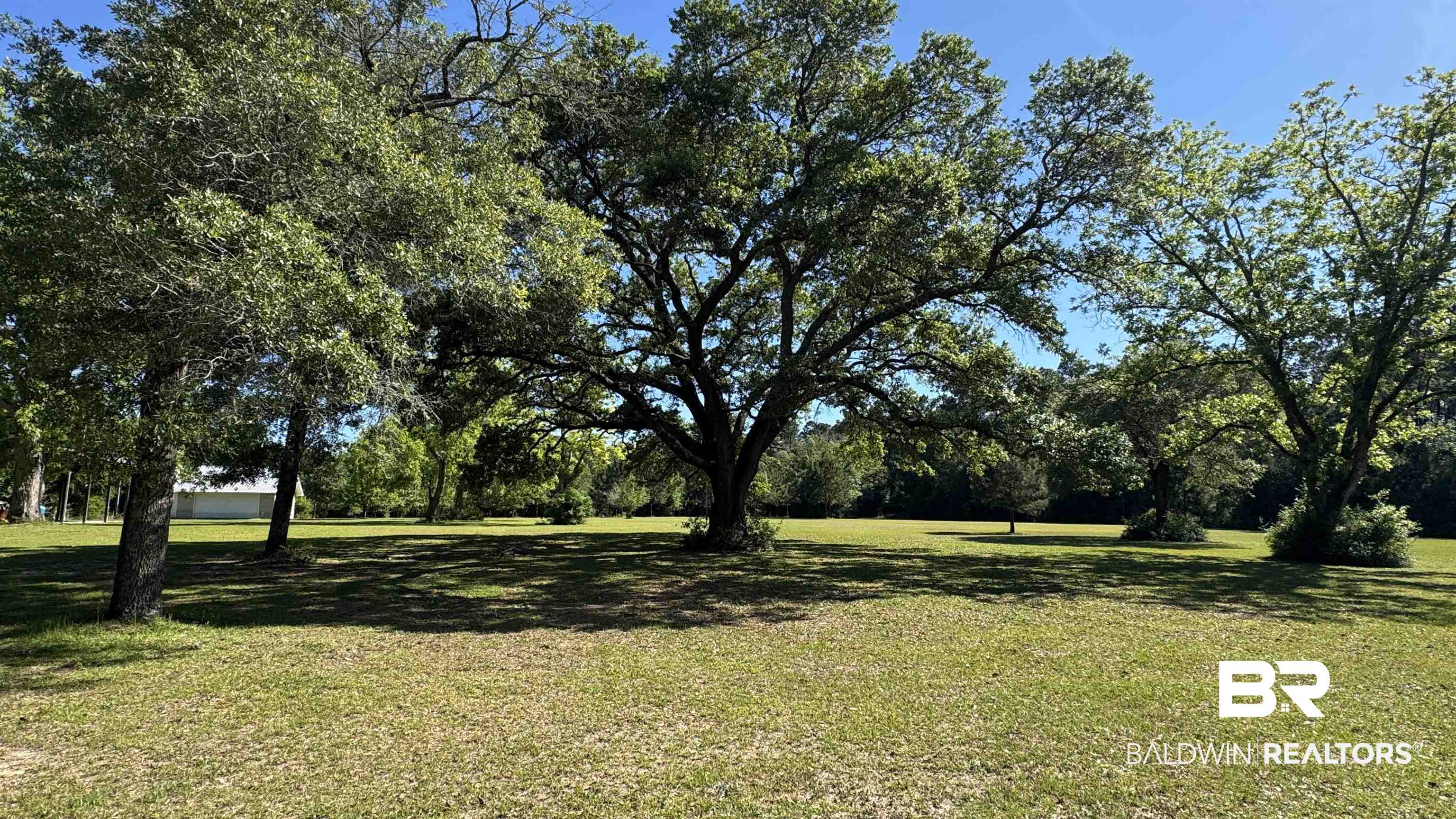 33370 Highway 98 Lillian, AL 36549 - Photo 58 of 58 Expansive grassy grounds featuring mature trees providing natural shade