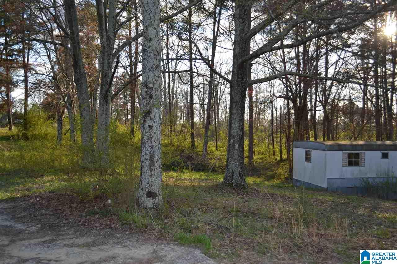 211 Reid Road Oneonta, AL 35121 - Photo 5 of 6