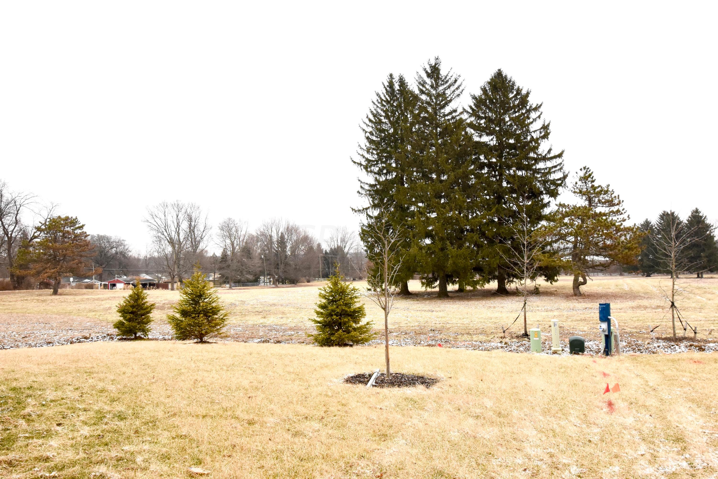 4972 Farview Road Columbus, OH 43231 - Photo 5 of 30 Gallery Image 5