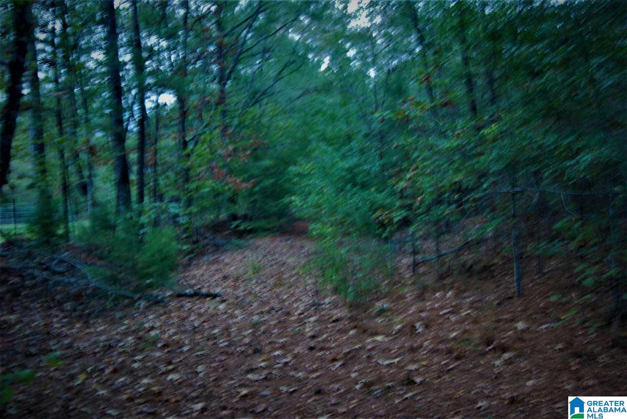 Ranch Marina Road, Unit 1 Pell City, AL 35128 - Photo 1 of 10