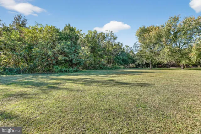 a view of a green field with clear sky