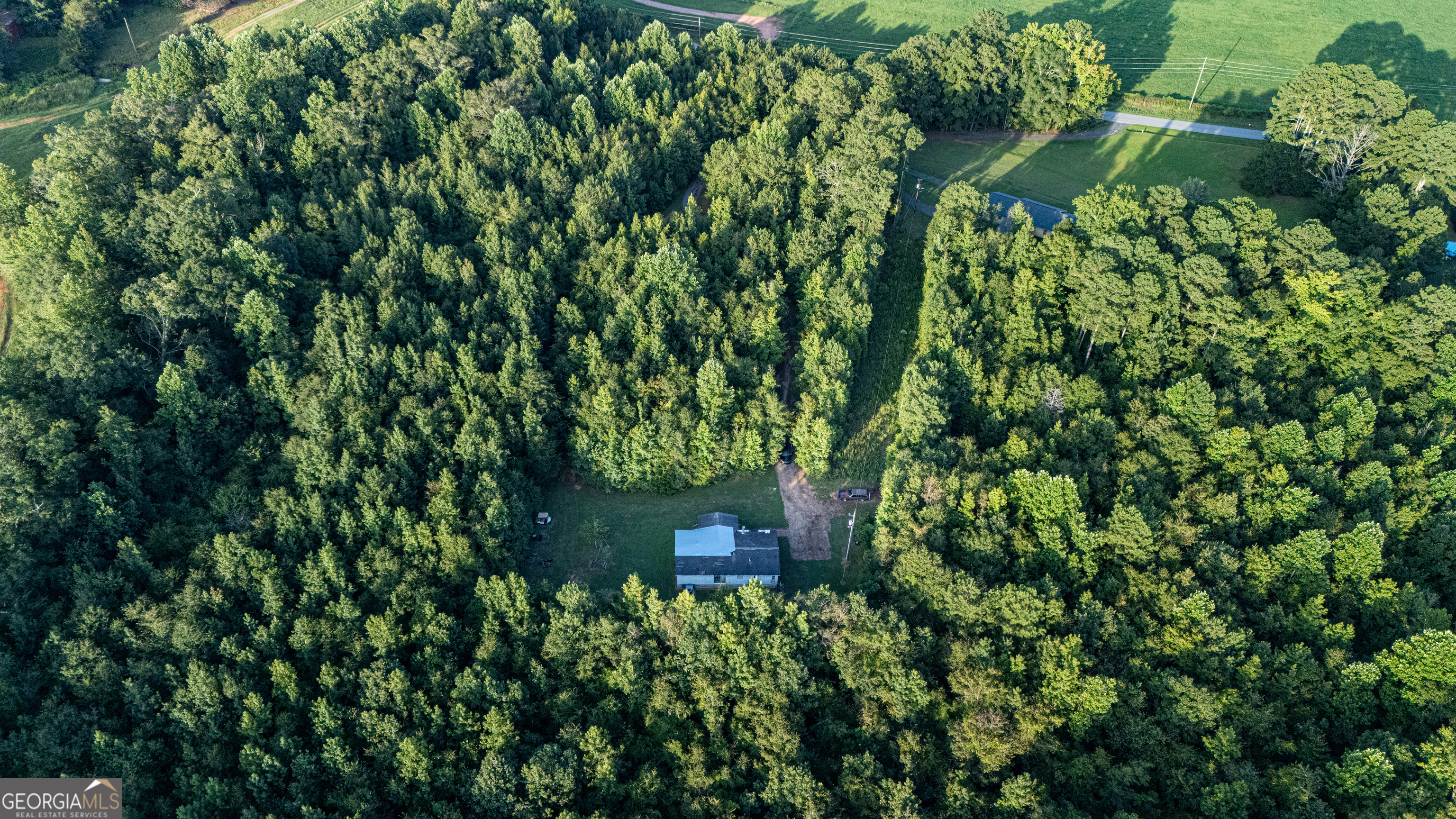 137 Robertson Road LaGrange, GA 30241 - Photo 4 of 5 a view of a garden