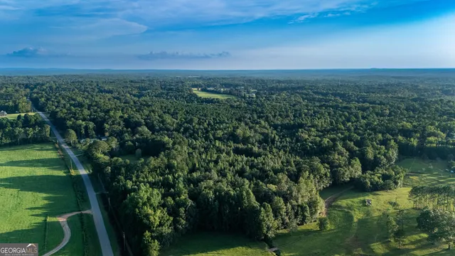 a view of a city with lush green forest