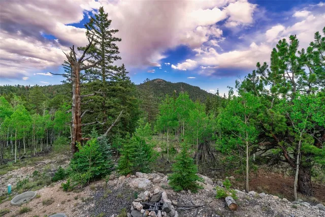a view of a city with lush green forest