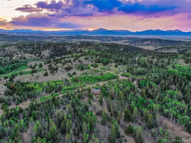 a view of a city with lush green forest