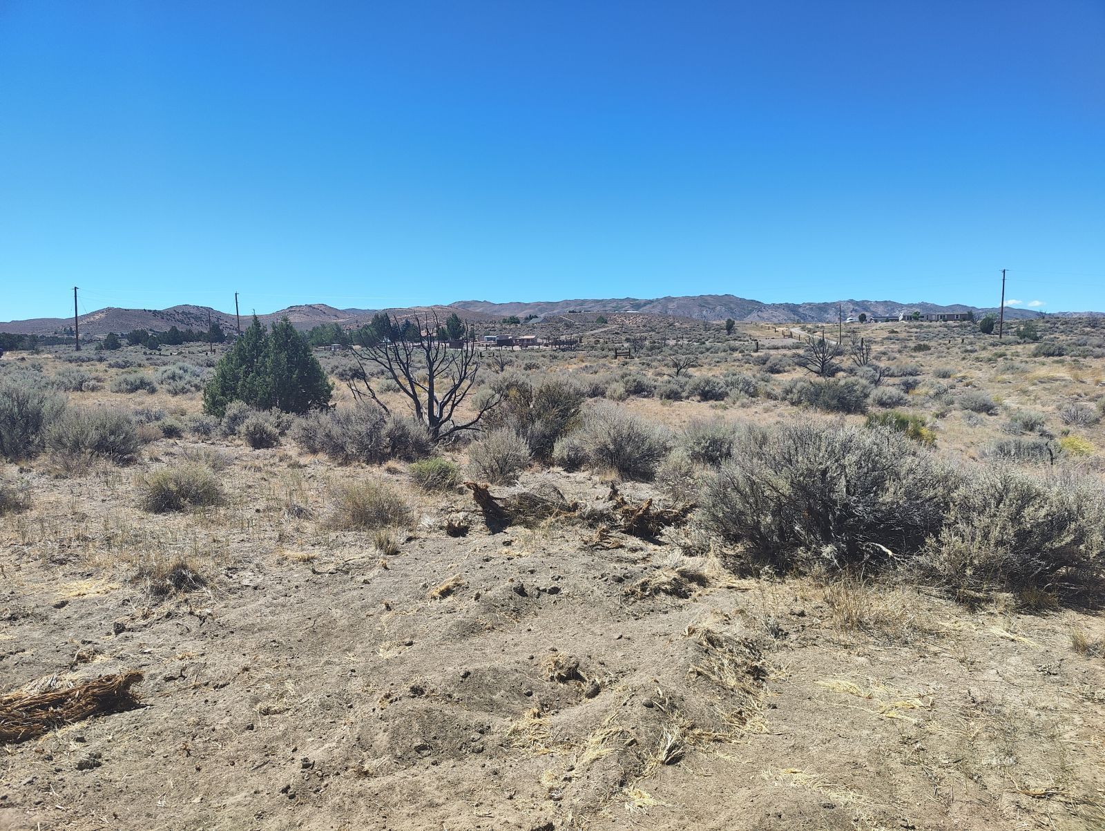 Bedell Road Reno, NV 89508 - Photo 14 of 15