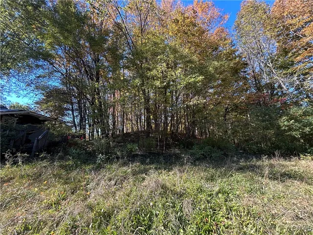 $44,900 | 21 Ricard Road, Williamstown, NY 13302