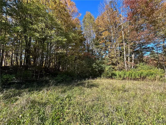 $44,900 | 21 Ricard Road, Williamstown, NY 13302