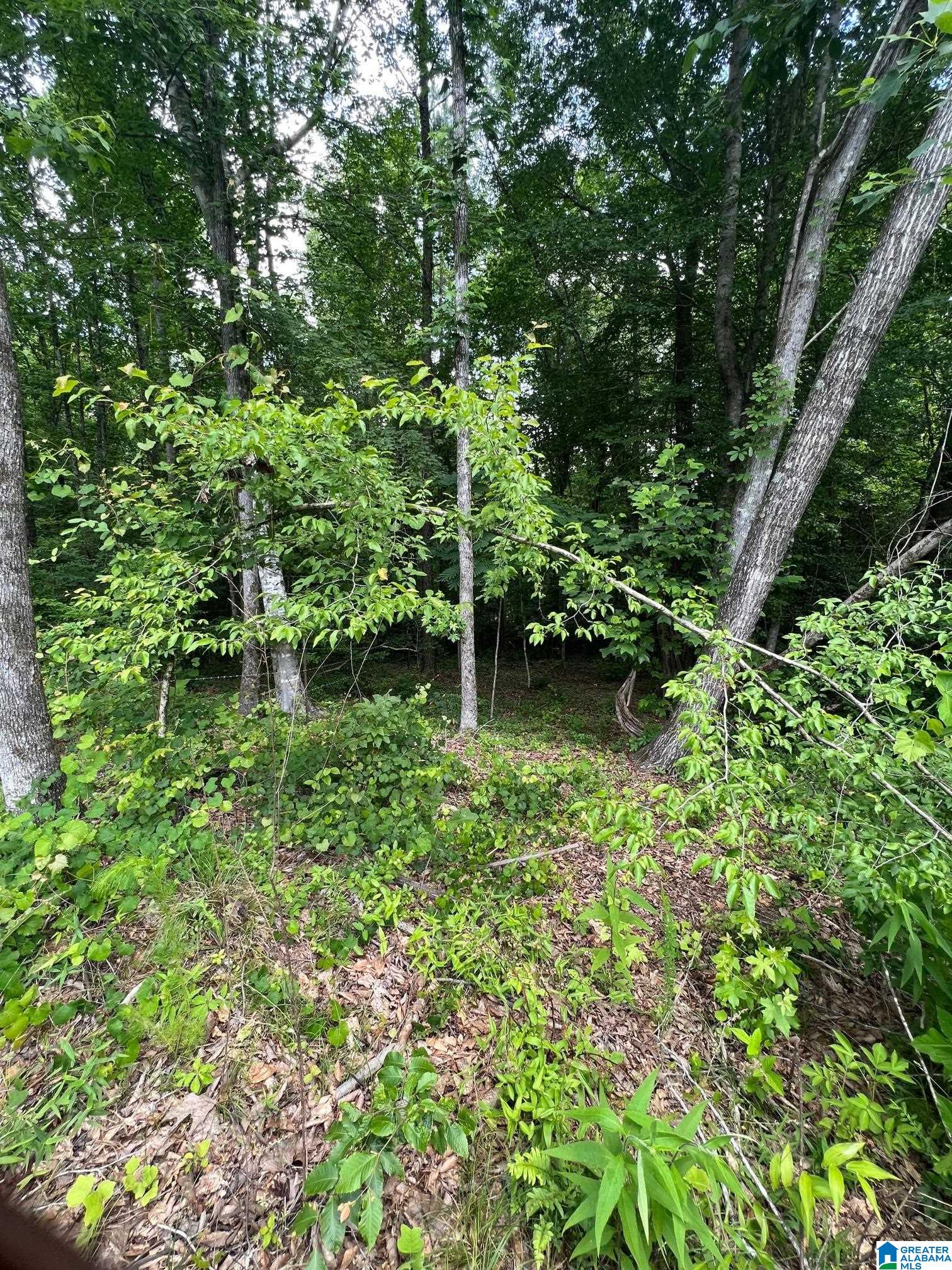 310 Fredric Ferry Road, Unit 5 AC Daviston, AL 36256 - Photo 5 of 10