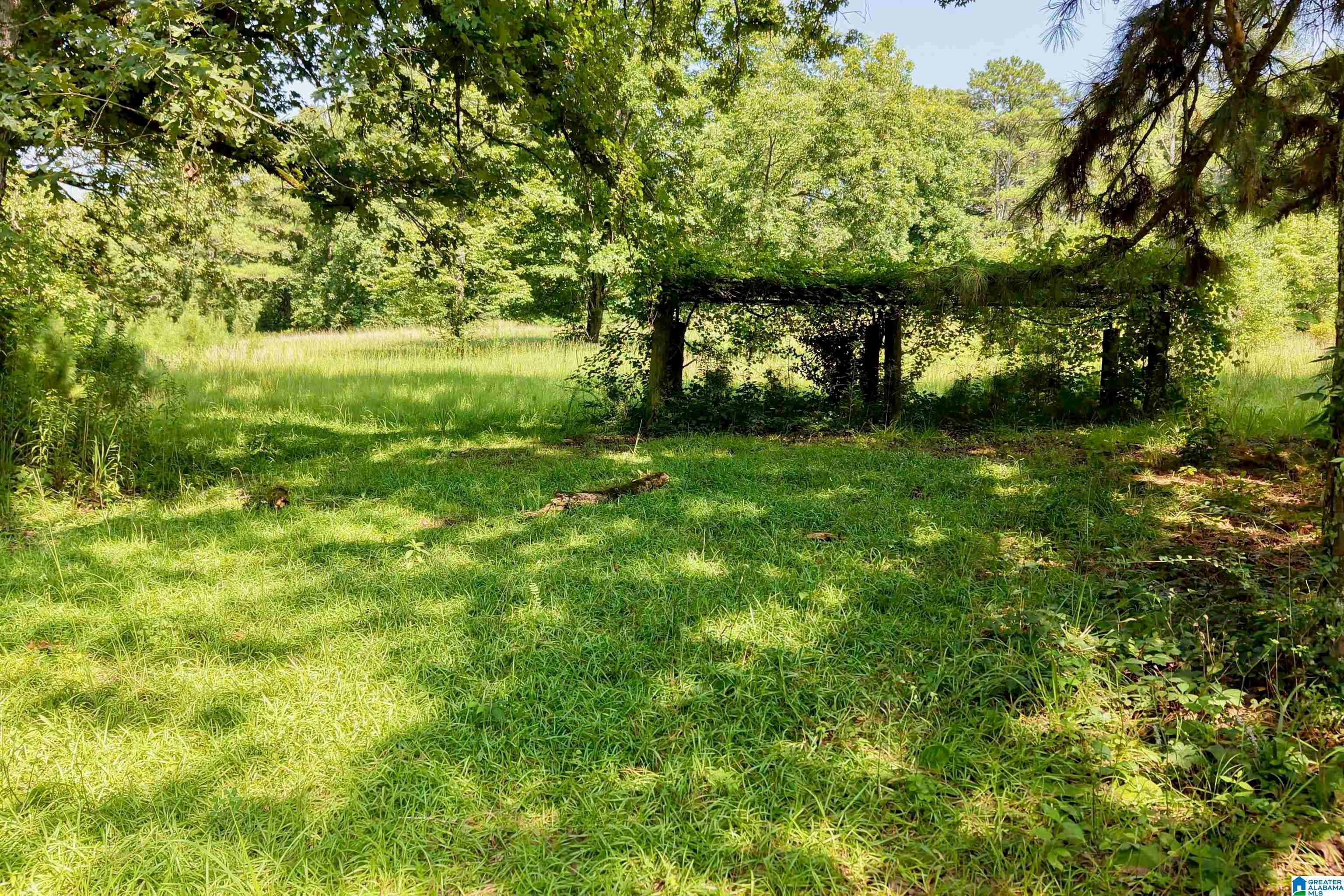 7571 Mack Hicks Road Trussville, AL 35173 - Photo 23 of 35 Gallery Image 23