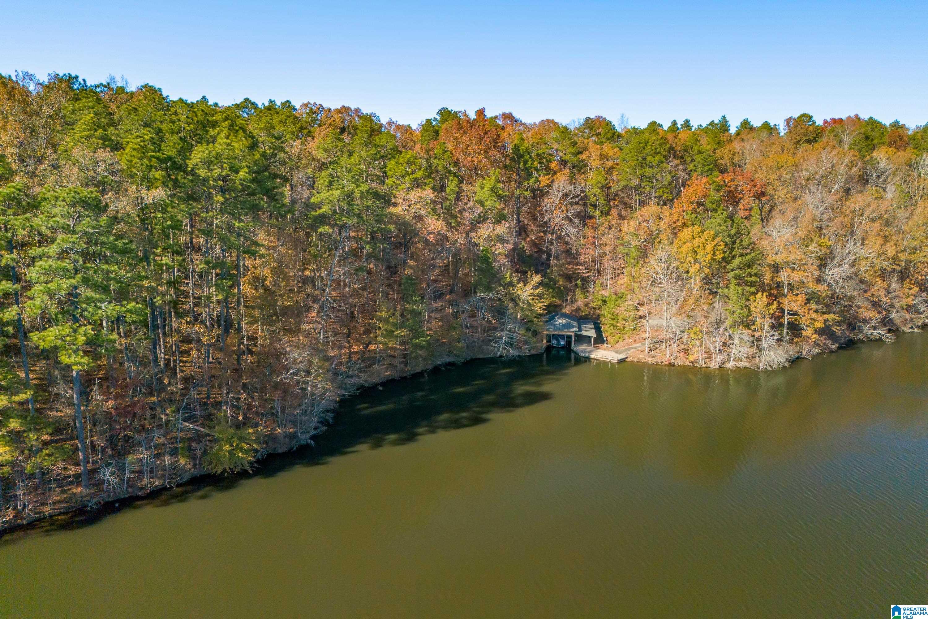 0 Pumpkin Hollow Road Sterrett, AL 35147 - Photo 52 of 55