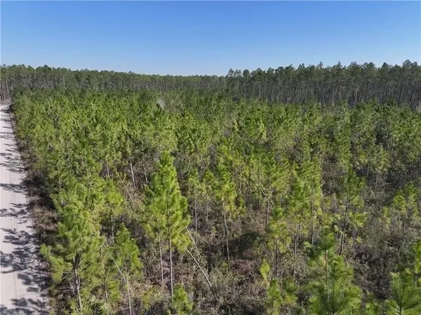 $87,000 | 0 Tract 3 Highway, Odum, GA 31555