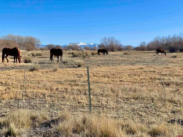 $299,999 | 7259 Road 25 Cortez Co 81321, Cortez, CO 81321