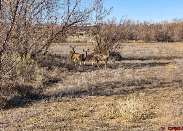 $329,000 | 7259 Road 25 Cortez Co 81321, Cortez, CO 81321