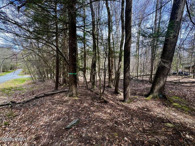 Lot 826 Fawn Road Hawley, PA 18428 - Photo 14 of 31
