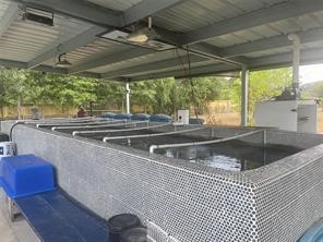 16188 Lone Star Ranch Drive Conroe, TX 77302 - Photo 8 of 24