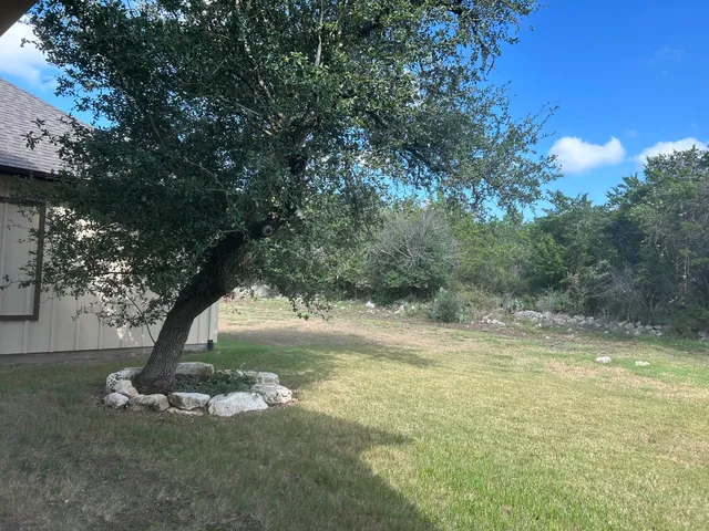a view of a yard with a tree