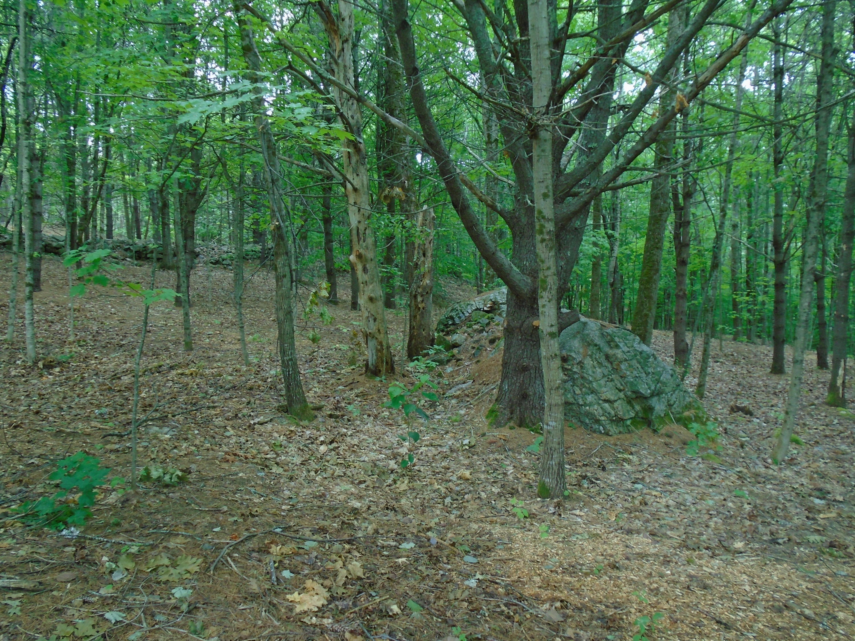 216 Sanborn Road Newfield, ME 04095 - Photo 31 of 33 DSC02091