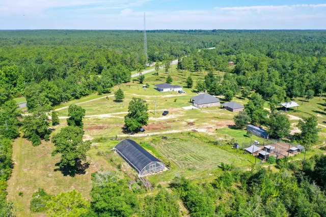 a view of a swimming pool and trees in the background