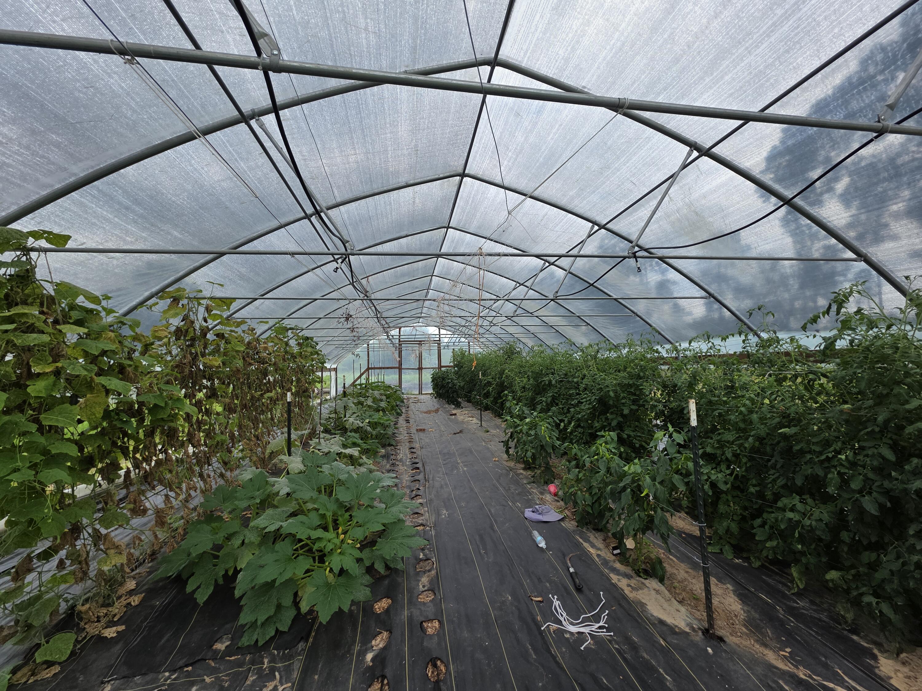 6249 Highway 4 Baker, FL 32531 - Photo 5 of 37 a view of a backyard