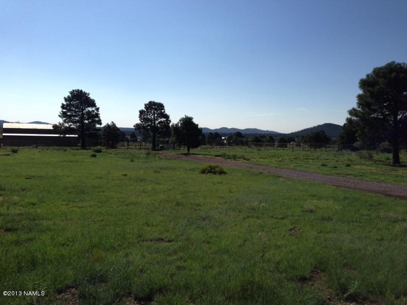 12290 North Eagle Road Flagstaff, AZ 86004 - Photo 11 of 52 Yard