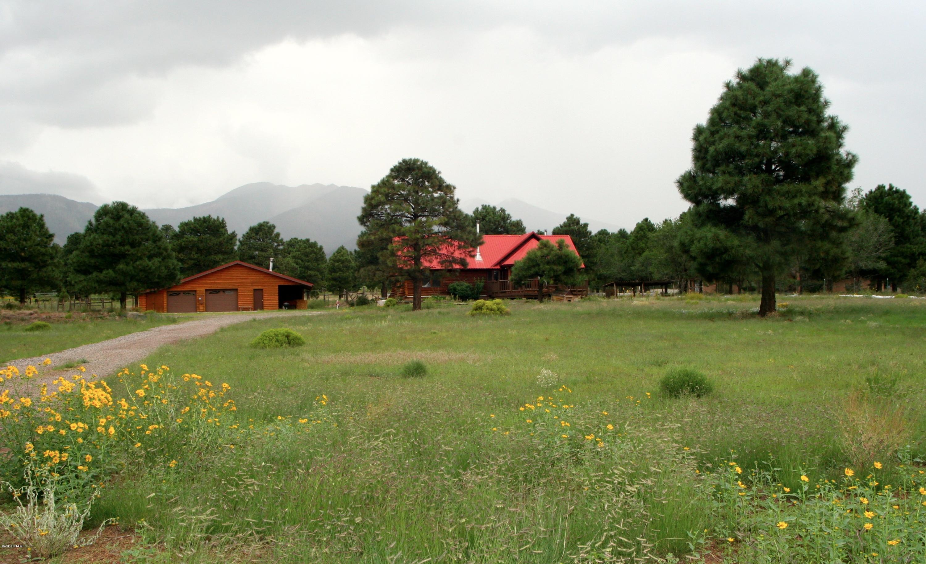 12290 North Eagle Road Flagstaff, AZ 86004 - Photo 2 of 52 View from Gate