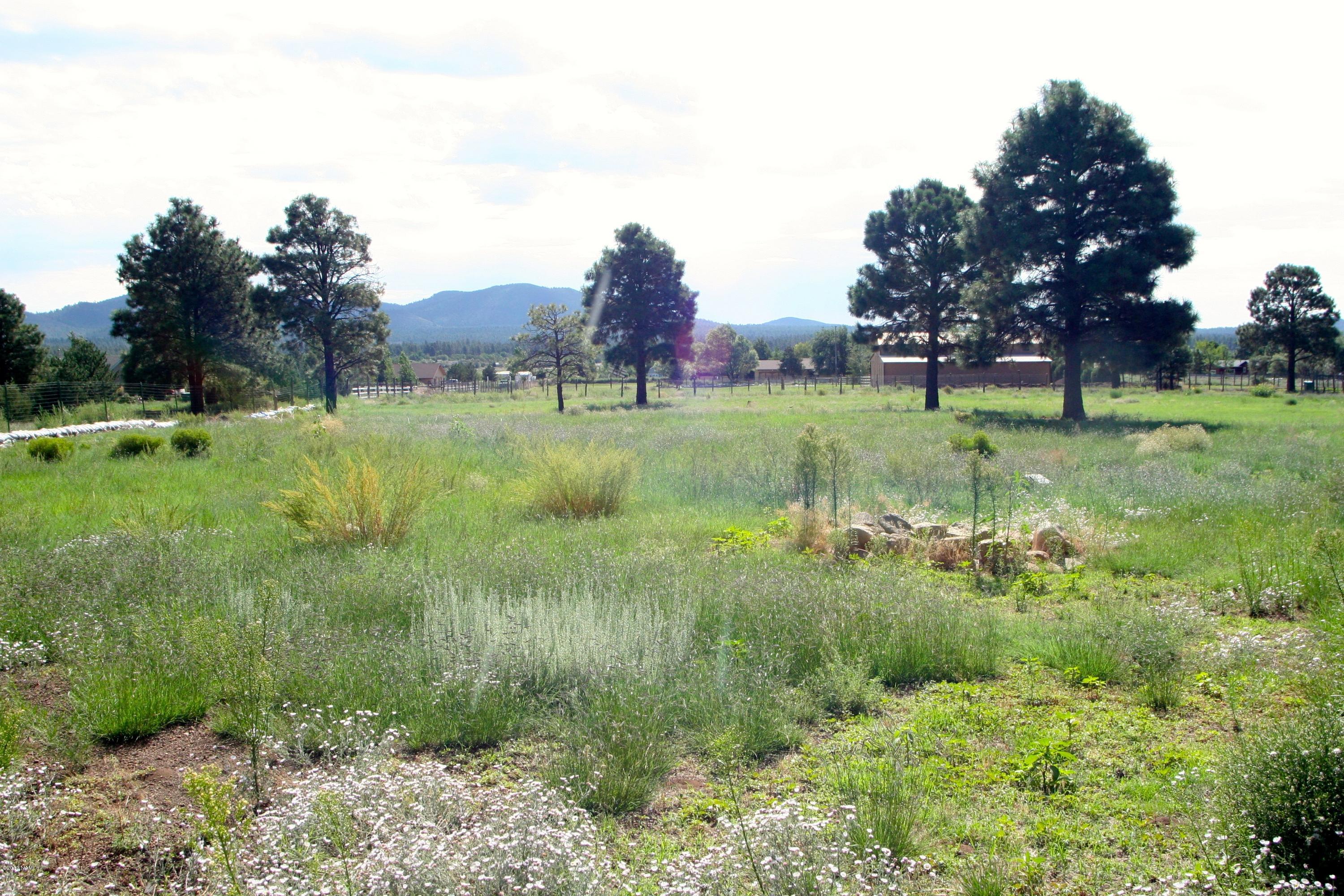 12290 North Eagle Road Flagstaff, AZ 86004 - Photo 44 of 52 yard 4