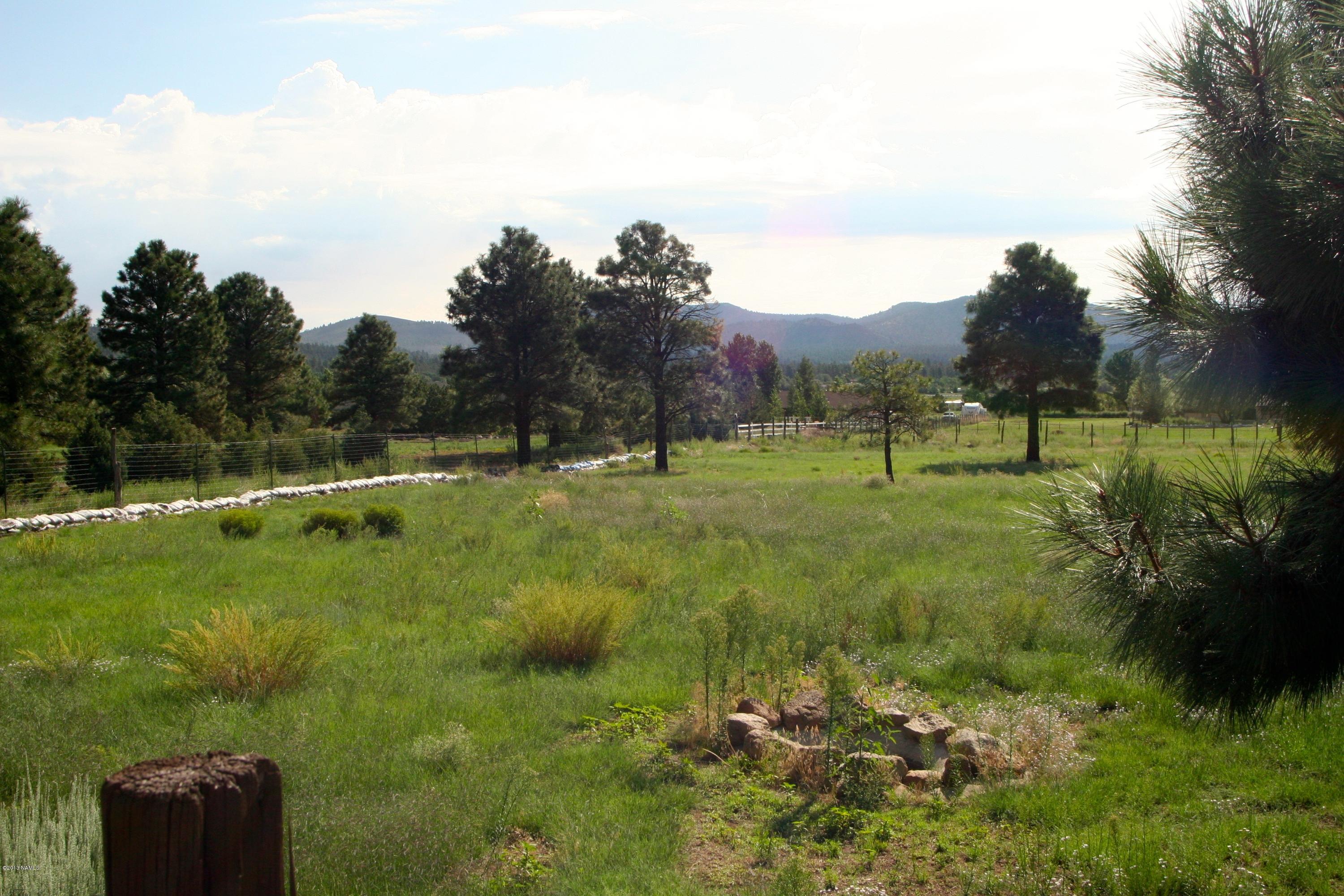 12290 North Eagle Road Flagstaff, AZ 86004 - Photo 45 of 52 Yard