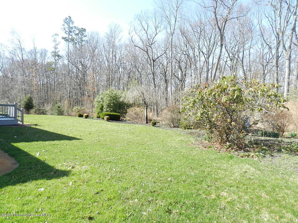21 Statesboro Road Freehold, NJ 07728 - Photo 4 of 30 a view of backyard with green space