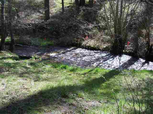 37415 North Valley Road Chattaroy, WA 99003 - Photo 3 of 9