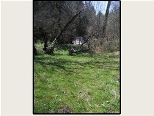 37415 North Valley Road Chattaroy, WA 99003 - Photo 4 of 9